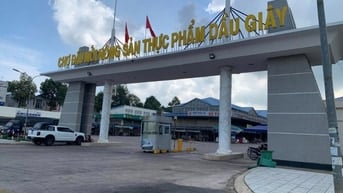 Đất QL1A full thổ có sổ 1,9 tỷ, TTHC Dầu Giây, Thống Nhất, Đồng Nai