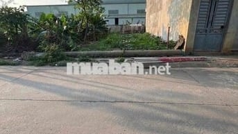 🌠 Tái Định Cư Hà Hồi Đang Lên  🔖 DT : 80M - Mặt Tiền 5M30 = Hậu 📍 Mặt