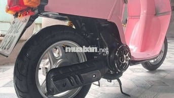 Xe 50cc 2 thì