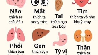 📙Nhận làm kế toán thuế trọn gói cho công ty nhỏ, hộ kinh doanh