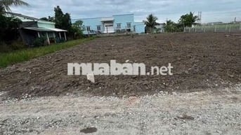 5×35=175mv THỔ CƯ 100% ,ÔTÔ NGAY ĐẤT ,TÂN TRỤ LONG AN