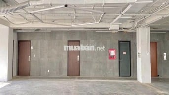 Cho thuê văn phòng đường Hoàng Việt, dt 228m²