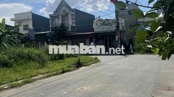 Đất sổ hồng 115m2 đường số 5 , khu dân cư trần anh,đức hoà , long an