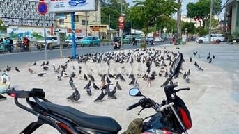 Bạn đã biết cách đạp số xe máy đúng chuẩn, an toàn không bị giật ít hại xe chưa? honda sonic 150