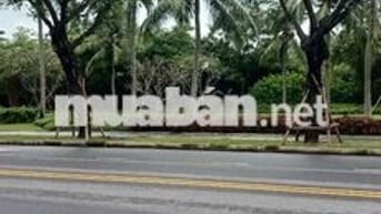 Bán đất kiệt ô tô Trần Văn Dư ngay khu Du lịch sầm uất sát biển