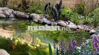 1 SÀO PHỦ HỒNG NGAY PHƯỜNG LONG KHÁNH