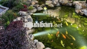 Bán đất sào ngay trung tâm Long Khánh - Đồng Nai
