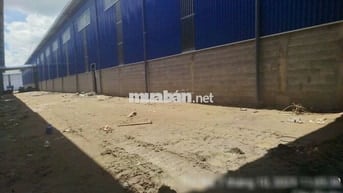 Cho thuê kho xưởng 10.000m2,mới đẹp tại Bến Lức Long An , PCCC tự động