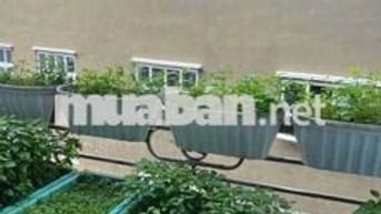 Cho thuê nhà một trệt một lầu hẻm Trương Công Định  Vũng Tàu
