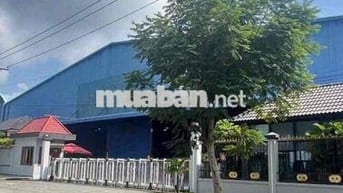 Nhà xưởng 1h4 cụm công nghiệp hóc môm tp hcm