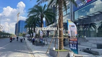 Bán đất mặt tiền đường Tôn Thất Tùng (Thống Nhất), cổng bệnh viện đại