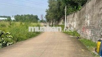 2270.9m2 có 545m2 thổ cư LK Phường Bình Dương, giá có 3.5tr/m2