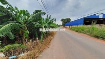Đất cây lâu năm 15.000m2 đường tỉnh 762, huyện Trảng Bom