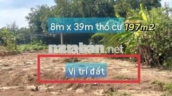 Mặt tiền Balangxi càu mắm  giá cần bán gấp