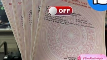 Gửi vàng – lời ít. Mua đất – lời gấp chục lần trong 10 năm!