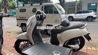 scoopy 2024