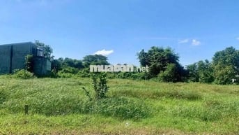 135m2 đất Tân An Hội mới mặt tiền đường 14m - SHR