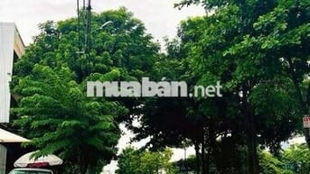 BÁN LÔ GÓC 2 MẶT TIỀN – 29/3 & CẨM CHÁNH 2 – HÒA XUÂN – CẨM LỆ