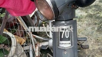 Can ban xe cup 50cc bstp