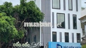 Cho thuê nhà mặt tiền đường Nhất Chi Mai, dt 8x18 trệt 4 lầu