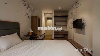 Giá đàn ưu đãi cho anh chị em nhân viên văn phòng