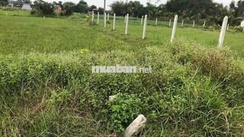 Đất thổ 165m2 Hậu Nghĩa Đức Hoà Long An