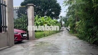 Nhà vườn xã Bình Chánh, TPHCM 550m 2,5tỷ