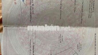 Gia Đình bán gấp nhà mới TT Đà Lạt