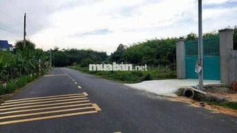 Lô này xây nhà thì đẹp anh chị mình ơi  Chủ cần bánh lô đất đường Tân
