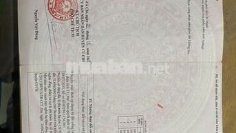 Bán đất Đường Võ Văn Điều, Phước Thạnh, Củ Chi 150m2 1.4 tỷ