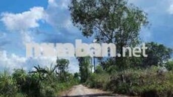 3476m2 Đất Vườn sẵn Mặt Tiền Kênh Ba