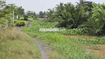 bán đất nền huyện gò công đông