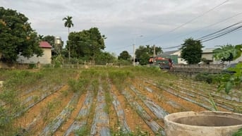 Chính chủ bán đất lô góc 596m² – trung tâm Suối Hai, Ba Vì – hai mặt đ