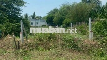 Bán nhanh lô đất Đ.Lê Minh Nhựt, Tân An Hội, DT 110m2 giá 700tr, SHR