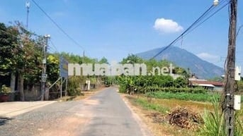 4435m2 đường nhựa, view Núi. Dân đông. 2,8 tỷ