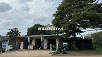 CHÍNH CHỦ BÁN ĐẤT MẶT TIỀN QL 14 CÓ NHÀ & VƯỜN CÀ PHÊ TẠI THÔN 5, NHÂN