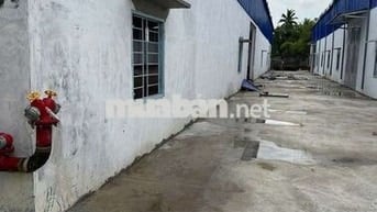 Xưởng Tân Hạnh, đất 1500m, xưởng 1000m, giá 40tr, điện 160kva