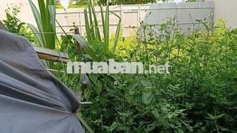 NHÀ 1 TRỆT 1 LẦU 92M2 HẺM TO CÁCH MT CHỈ 20M GẦN PHÀ GẠCH CÁT SỔ RIÊNG