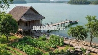 ĐẤT VƯỜN VIEW NGHỈ DƯỠNG 10531m2 200 thổ, tặng nhà C4, chỉ 225tr/sào