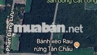 Đất 200x155m đường Phan bội Châu
