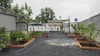 BÁN VƯỜN CÂY ĂN TRÁI 26x10m VIEW KÊNH TRUNG ĐÔNG 8, HÓC MÔN