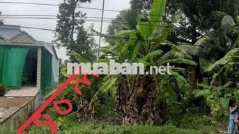Bán đất vườn tâm huyết do cần tiền gấp