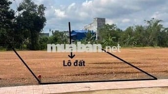 Anh trai kẹt tiền cần bán trong tuần