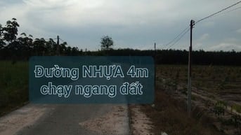 GĐ bán đất CAO SU 4.3ha (2 tỷ 420/ha TL) gần KCN Chà Là, cạnh kênh Tây