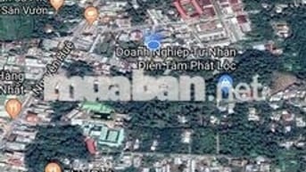 Bán Đất Thổ Cư Khu Vườn Ươm Nguyễn Huệ  Phú Khương
