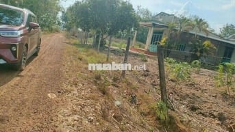 Đất sào giá ngộp dầu tiếng - HCM