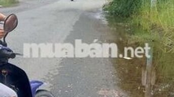 Bán đất nền đẹp đã có sổ hồng riêng