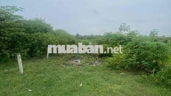 Bán đất thổ cư.DT:75m2.Giá 850triệu