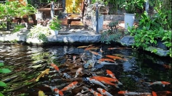 GÓC TUYỂN DỤNG  – THÁNG 11