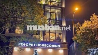 🏡 Nhà 5 Tầng Trịnh Văn Cấn Q1 – Sàn Suốt, Vị Trí Đẹp, Giá 75Tr 🔑